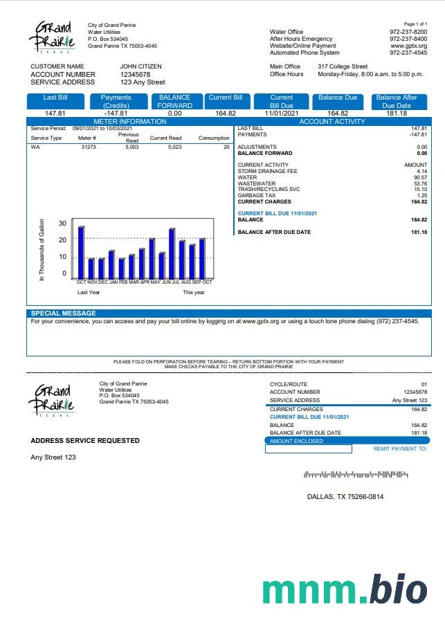 USA Texas Grand Prairie rachunek za media szablon w formacie Word i PDF